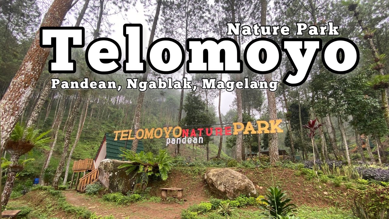 Telomoyo Nature Park: Pesona Alam dan Aktivitas Menarik